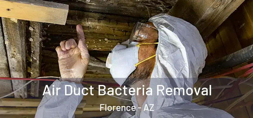 Air Duct Bacteria Removal Florence - AZ