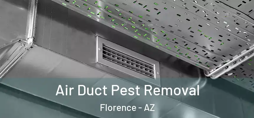  Air Duct Pest Removal Florence - AZ