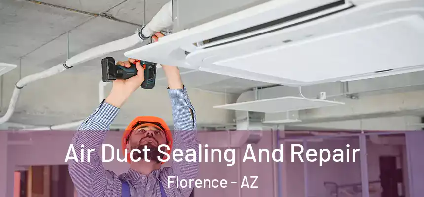  Air Duct Sealing And Repair Florence - AZ