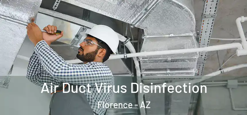  Air Duct Virus Disinfection Florence - AZ