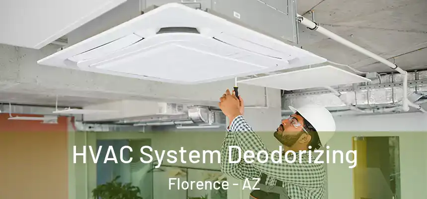  HVAC System Deodorizing Florence - AZ
