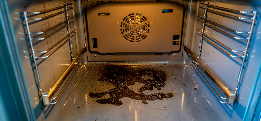 Our Dryer Vent Mold Cleaning Services in Florence, AZ