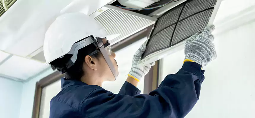 Our Mold & Mildew Removal from Air Ducts Services in Florence, AZ