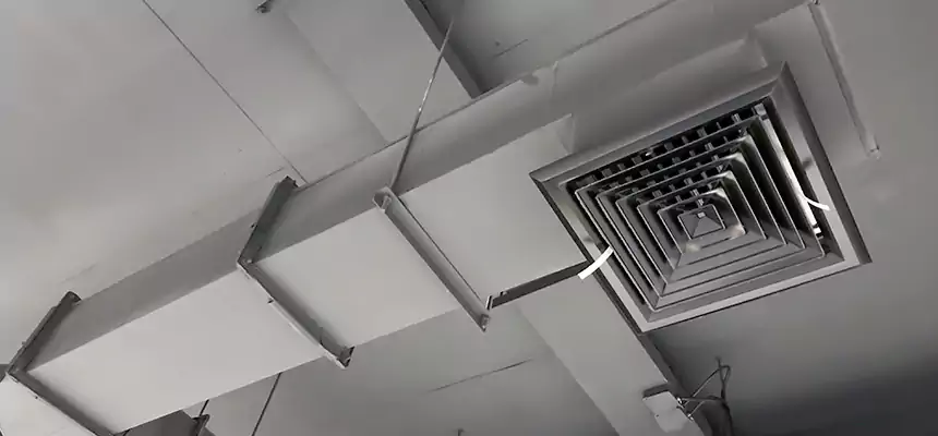 Our Rodent Droppings In Vents Services in Florence, AZ