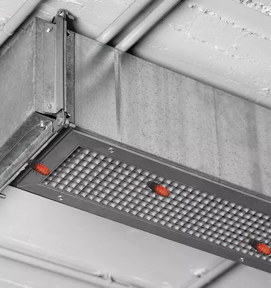 About Air Duct Cockroach Removal in Florence, AZ