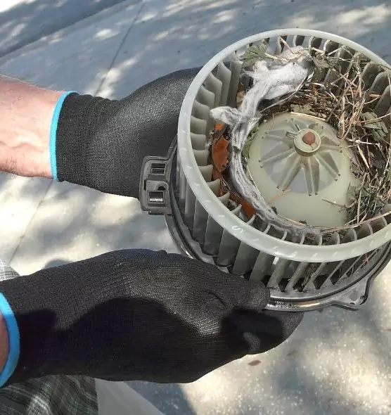 About Air Duct Mice Removal in Florence, AZ