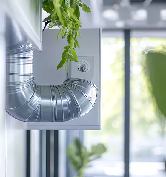 Professional Eco-Safe Dryer Vent Cleaning in Florence, AZ