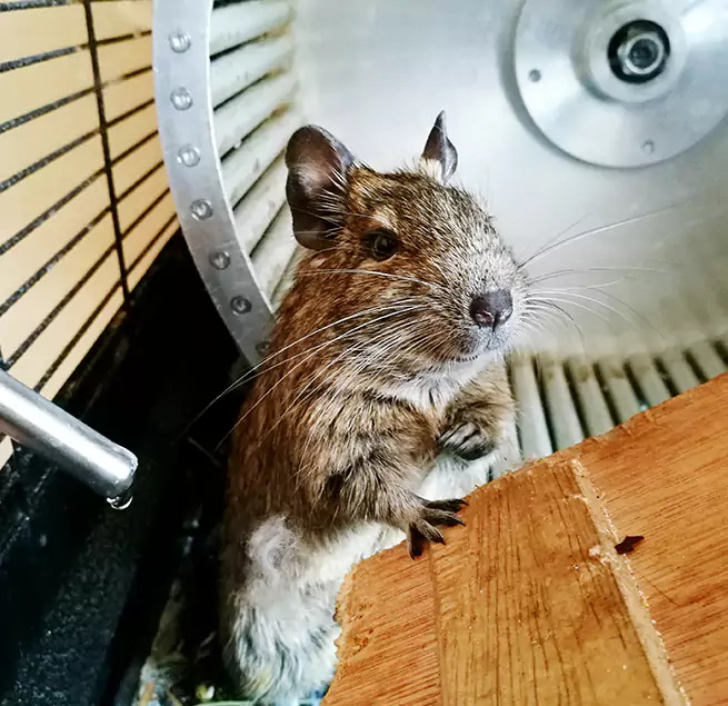 Why Homeowners & Businesses Trust Us Florence, AZ