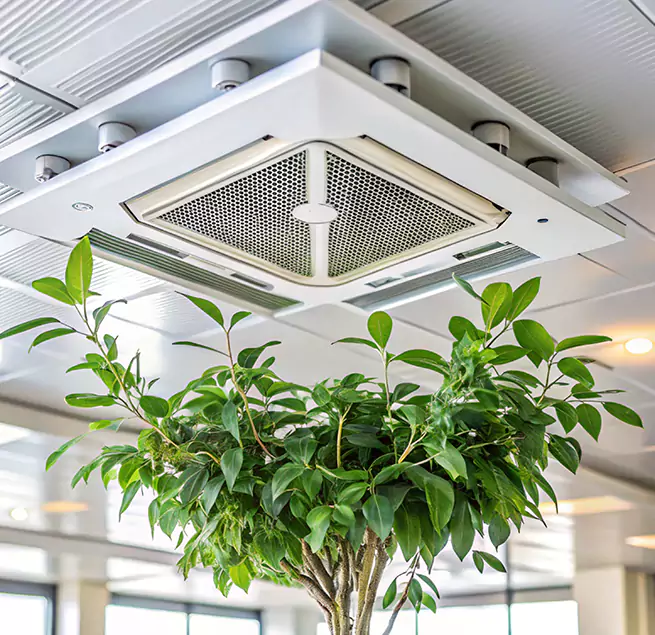 Why Homeowners & Businesses Trust Us in Florence, AZ